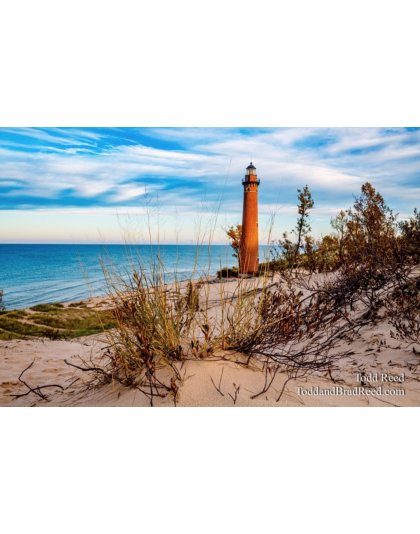 Dunegrass Perspective