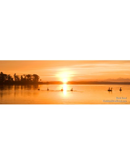 Hamlin Lake Sunrise - Panoramic