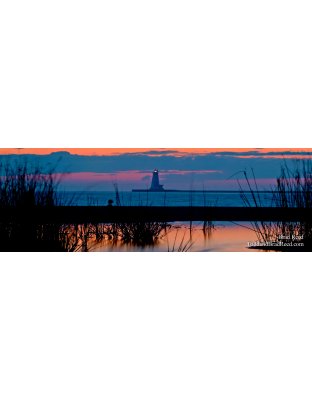 Reflections of Summer - Panoramic