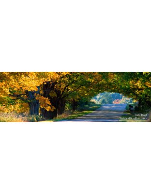 Sunday Drive - Panoramic