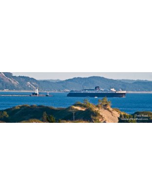 Skyline View of Badger - Panoramic