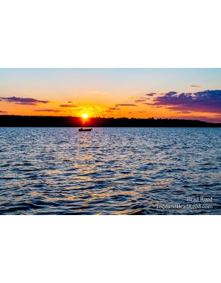 Brad Reed's Day 132 of 366