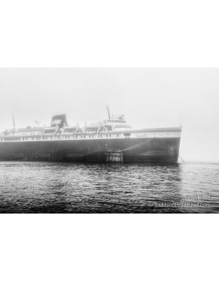 Brad Reed's Day 135 of 366