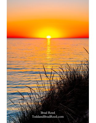 Brad Reed's Day 141 of 366