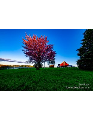 Brad Reed's Day 142 of 366