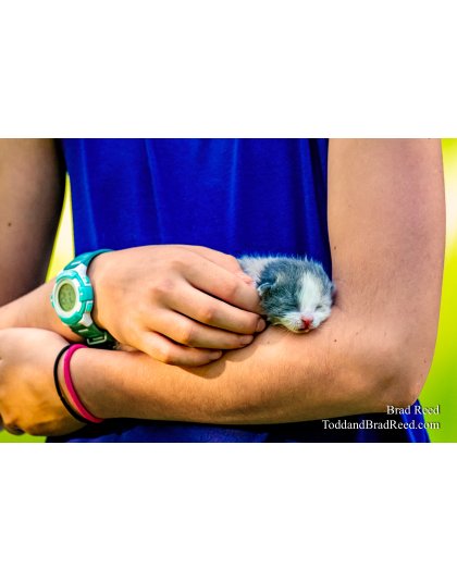 Brad Reed's Day 148 of 366