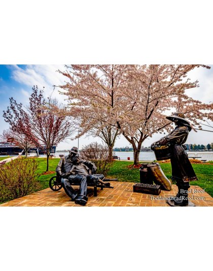 Brad Reed's Day 136 of 366