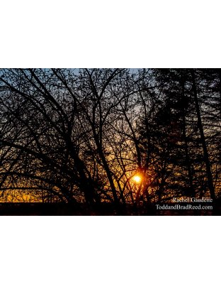 Rachel Gaudette's Day 132 of 366 - May 11, 2020