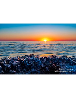 Rachel Gaudette's Day 141 of 366 - May 20, 2020