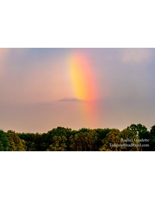 Rachel Gaudette's Day 148 of 366 - May 27, 2020