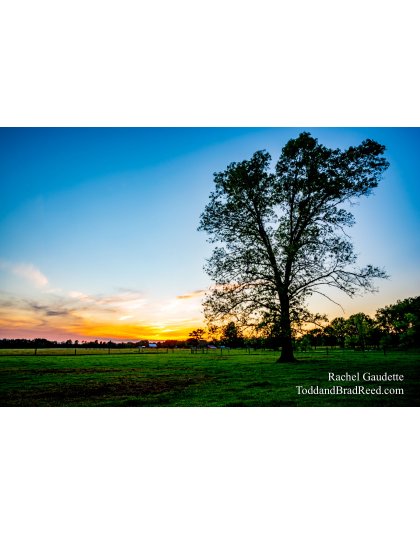 Rachel Gaudette's Day 159 of 366 - June 7, 2020