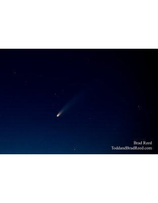 Brad Reed's Day 195 of 366 - July 13, 2020