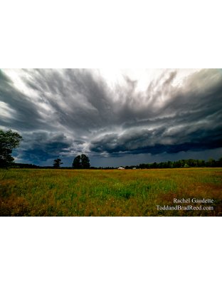 Rachel’s Day 163 of 366 - June 11, 2020 