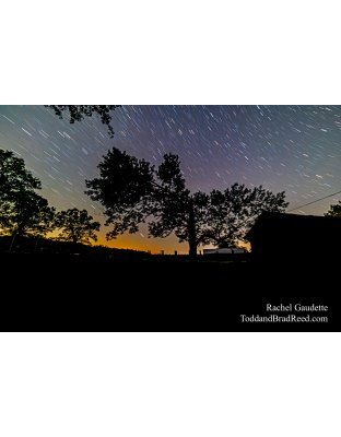 Rachel’s Day 198 of 366 -  July 16, 2020  