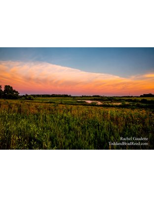 Rachel’s Day 201 of 366 -  July 19, 2020 