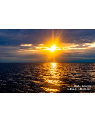 Rachel’s Day 203 of 366 -  July 21, 2020  