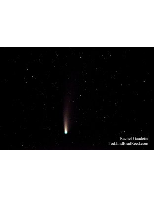 Rachel’s Day 204 of 366 -  July 22, 2020