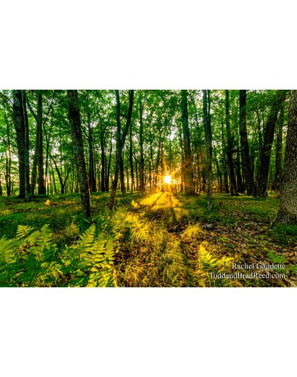 Rachel’s Day 207 of 366 -  July 25, 2020