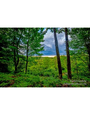 Rachel’s Day 208 of 366 -  July 26, 2020 