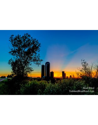 Brad’s Day 207 of 366 - July 25, 2020 