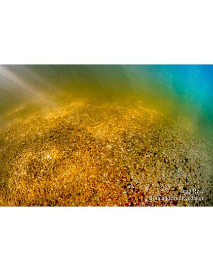 Brad’s Day 208 of 366 - July 26, 2020