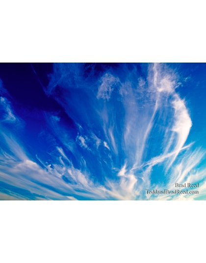 Brad’s Day 213 of 366 - July 31, 2020   