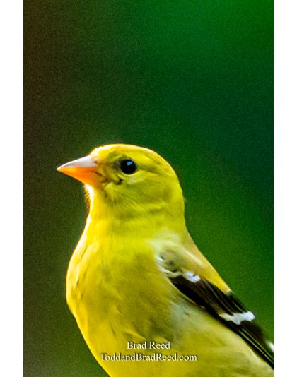 Brad’s Day 215 of 366 - August 2, 2020 