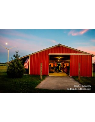 Rachel’s Day 213 of 366 -  July 31, 2020 