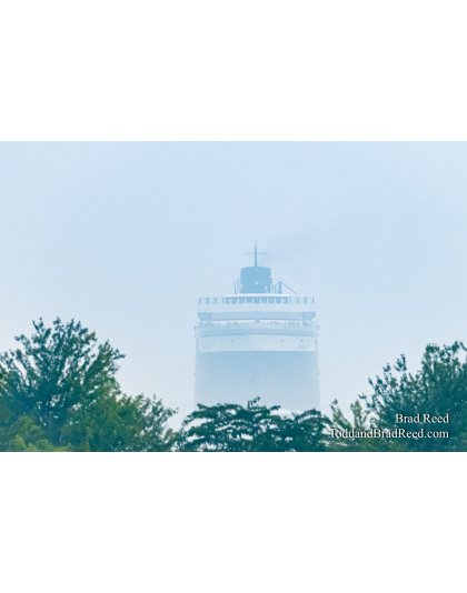 Brad’s Day 223 of 366 - August 10, 2020 