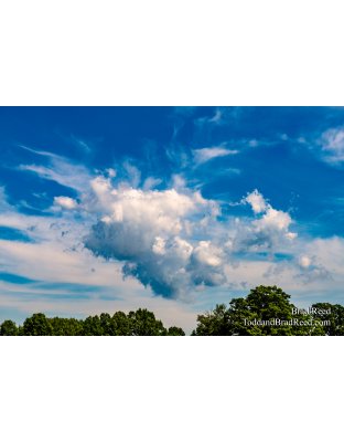 Brad’s Day 226 of 366 - August 13, 2020 