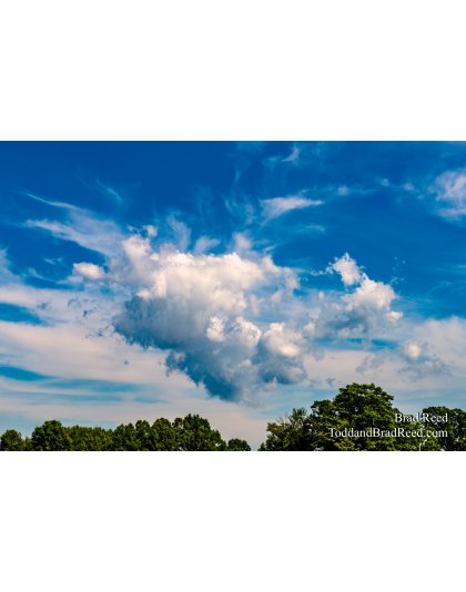 Brad’s Day 226 of 366 - August 13, 2020 