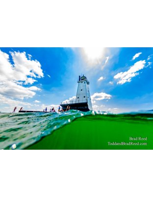 Brad’s Day 227 of 366 - August 14, 2020 