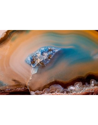 Rachel’s Day 217 of 366 -  August 4, 2020 