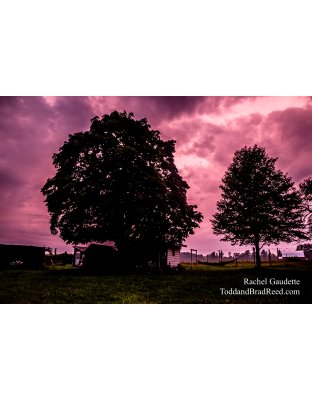 Rachel’s Day 223 of 366 -  August 10, 2020