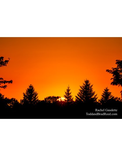 Rachel’s Day 226 of 366 -  August 13, 2020  