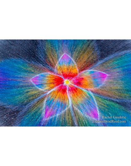 Rachel’s Day 227 of 366 -  August 14, 2020  