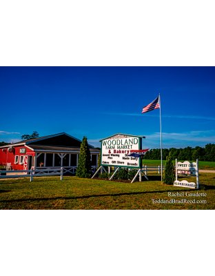 Rachel’s Day 230 of 366 -  August 17, 2020