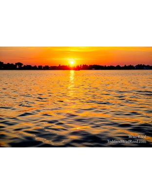 Brad’s Day 236 of 366 - August 23, 2020 