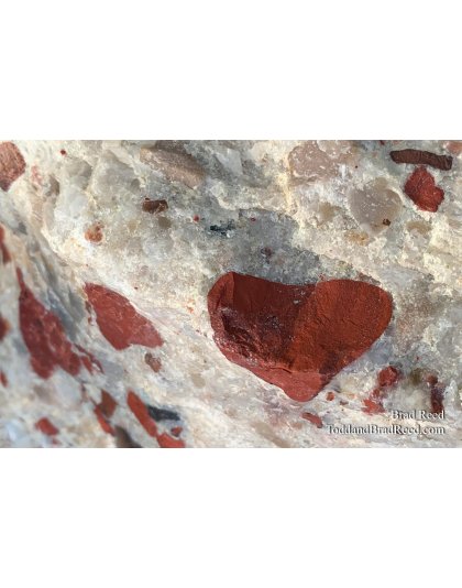 Brad’s Day 238 of 366 - August 25, 2020 