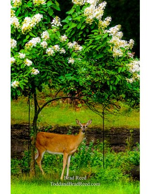 Brad’s Day 240 of 366 - August 27, 2020  