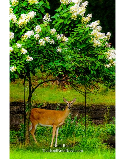 Brad’s Day 240 of 366 - August 27, 2020  