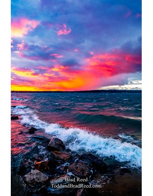 Brad’s Day 242 of 366 - August 29, 2020