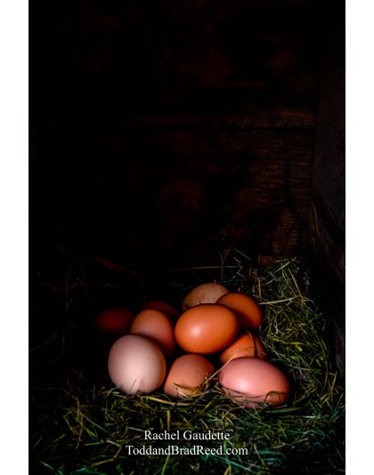 Rachel’s Day 238 of 366 -  August 25, 2020 