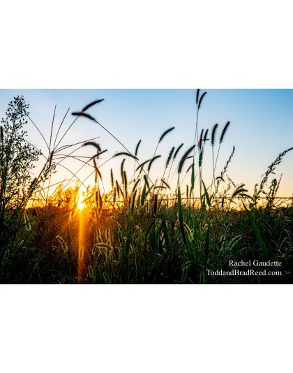 Rachel’s Day 249 of 366 -  September 5, 2020 