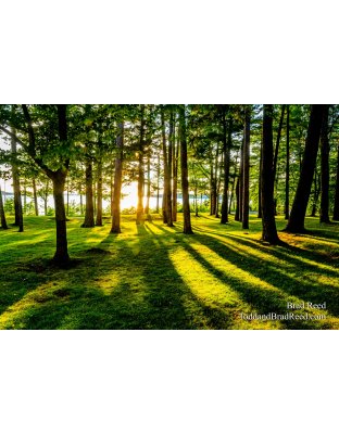 Brad’s Day 244 of 366 - August 31, 2020 