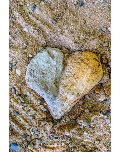 Brad’s Day 250 of 366 - September 6, 2020 