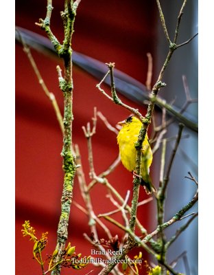 Brad’s Day 256 of 366 - September 12, 2020 