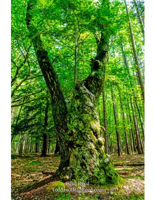 Brad’s Day 257 of 366 - September 13, 2020 