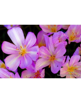 Brad’s Day 261 of 366 - September 17, 2020  