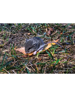 Brad’s Day 263 of 366 - September 19, 2020  